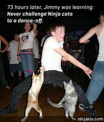 Never challenge Ninja cats to a dance-off.