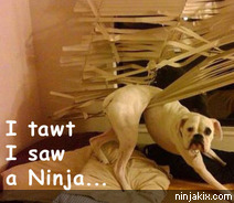 I tawt I saw a Ninja...