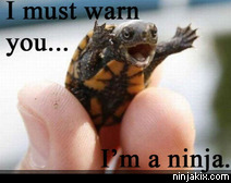 I must warn you, I'm a Ninja!