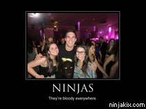 Ninjas. They're bloody everywhere.