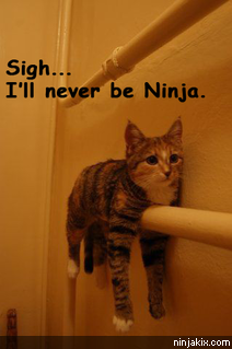 Sigh... I'll never be Ninja.