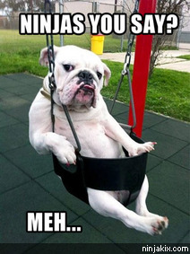 Ninjas you say? Meh...
